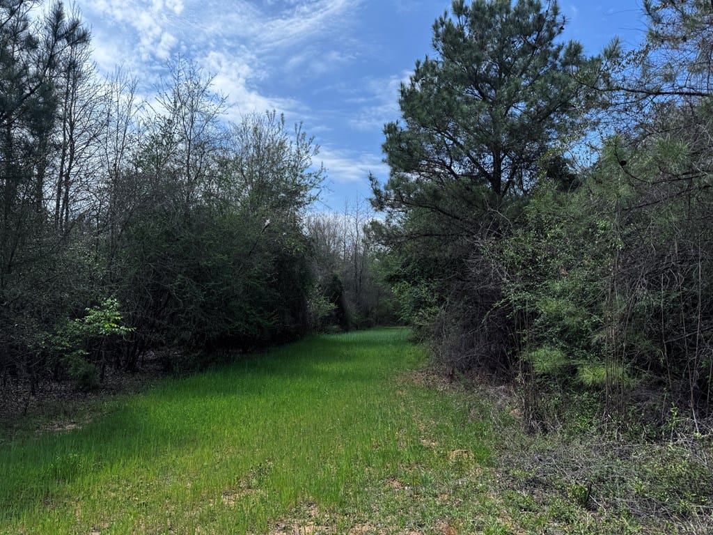 337+/- ac Ga Highway 0137, Buena Vista, GA, 31803