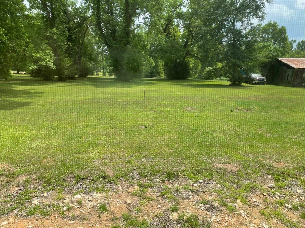 1638 Nicholson Street, Richland, GA, 31825 — Photo 3