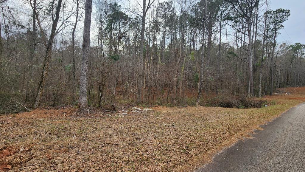 0 Monument Road, Pine Mountain, GA, 31833