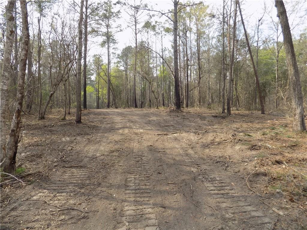 Lot 4 Macon County Road 24, Auburn, AL, 36830 — Photo 2