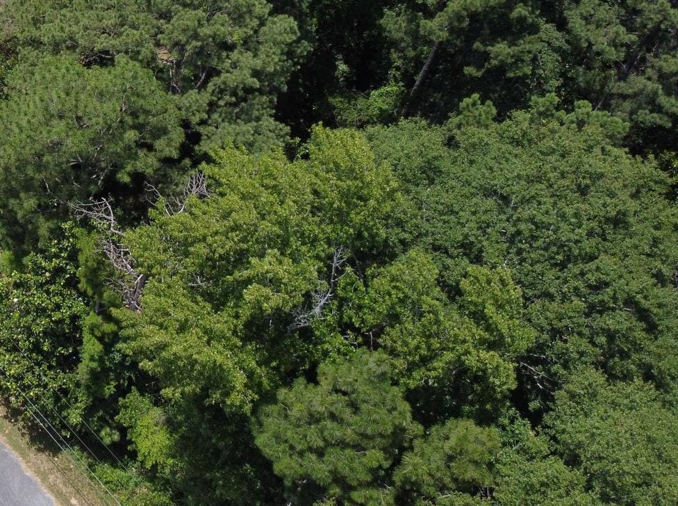 Lots 7-10 Grace Road, Phenix City, AL, 36870