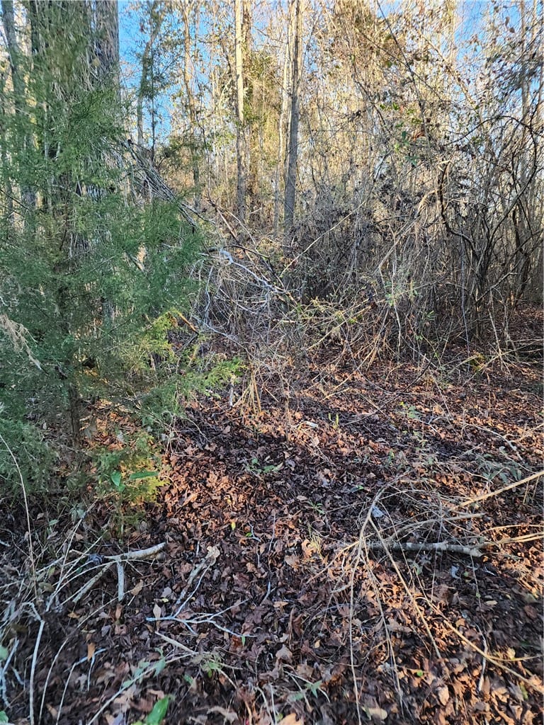 1598 Lee Road 39, Opelika, AL, 36804 — Photo 2