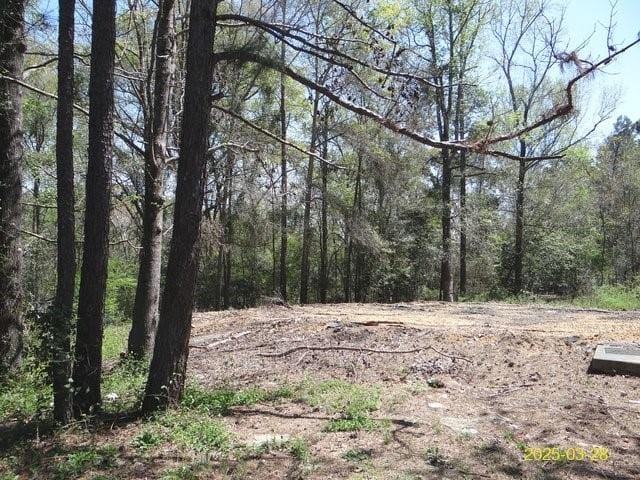 4200 Freedom, Phenix City, AL, 36869 — Photo 2