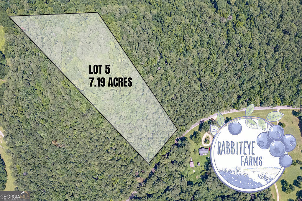 5 Haynes Rd, Moreland, GA 30259