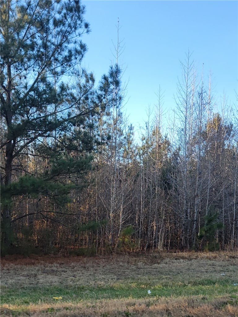 00 COUNTY ROAD 5, Union Springs, AL, 36089