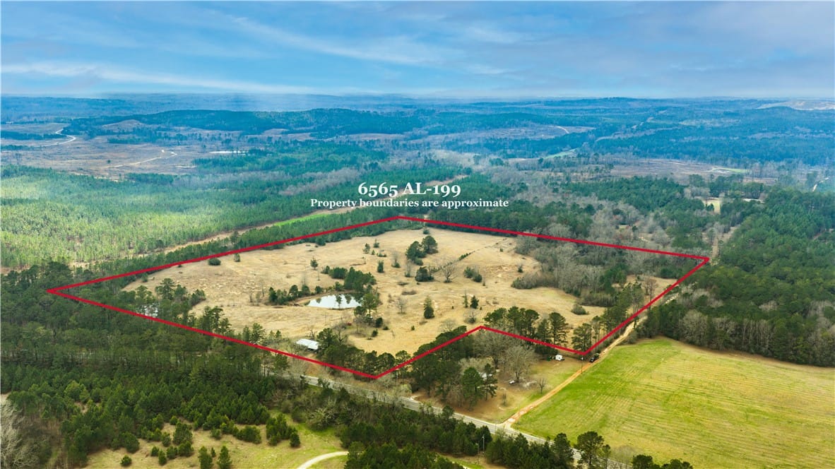 6565 Alabama 199, Notasulga, AL, 36866 — Photo 3