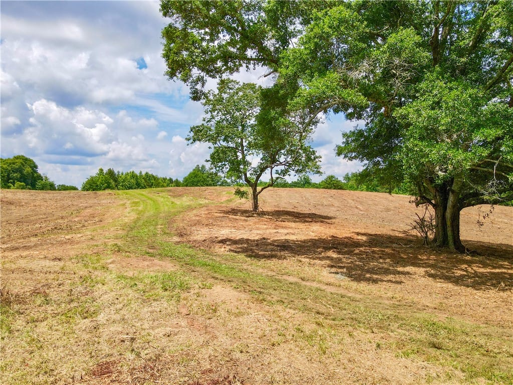 0 HIGHWAY 9, Ashland, AL, 36251