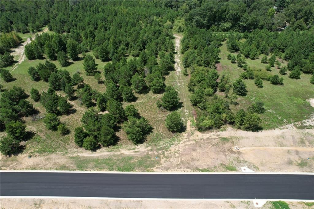 Lot 17 Homestead, Smiths Station, AL, 36877