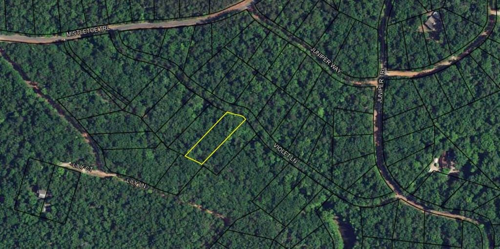 BLK 38 LOT 02 Violet Avenue, Waverly Hall, GA, 31831