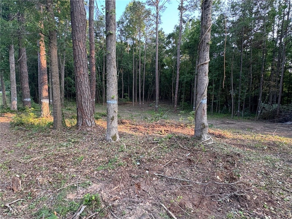 0 Bama Park Road, Dadeville, AL, 36853