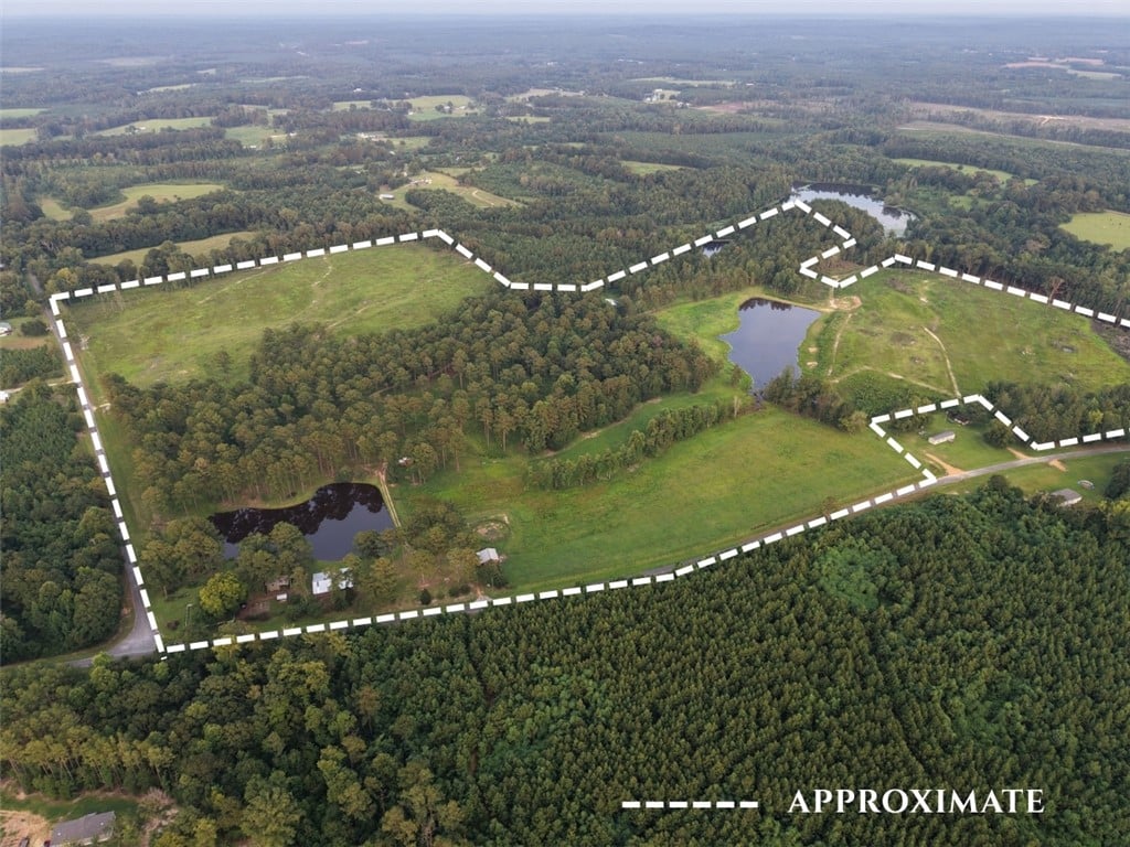 1362 N Friendship Dr, Georgiana, AL 36033