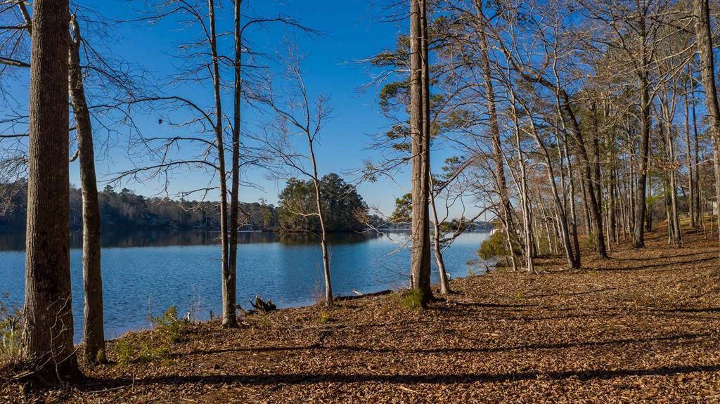 Lot 2 Hinton Drive, Hamilton, GA, 31811