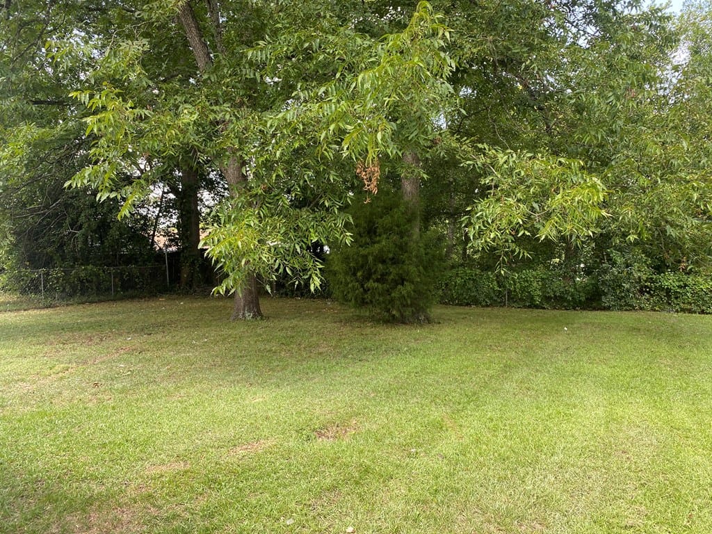 2611 4th Avenue, Columbus, GA, 31904, Back yard