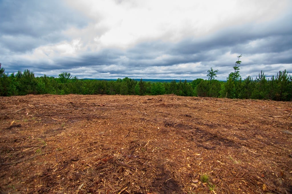 0 Chestnut Grove Rd #6, Shiloh, GA 31826