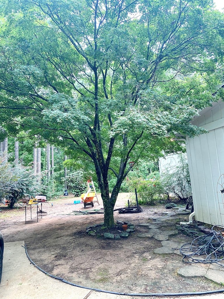 821 Plantation Creek Road, Fortson, GA, 31808 — Photo 3