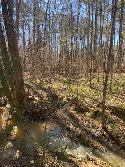 001 Leisure Circle, Pine Mountain, GA, 31822 — Photo 2