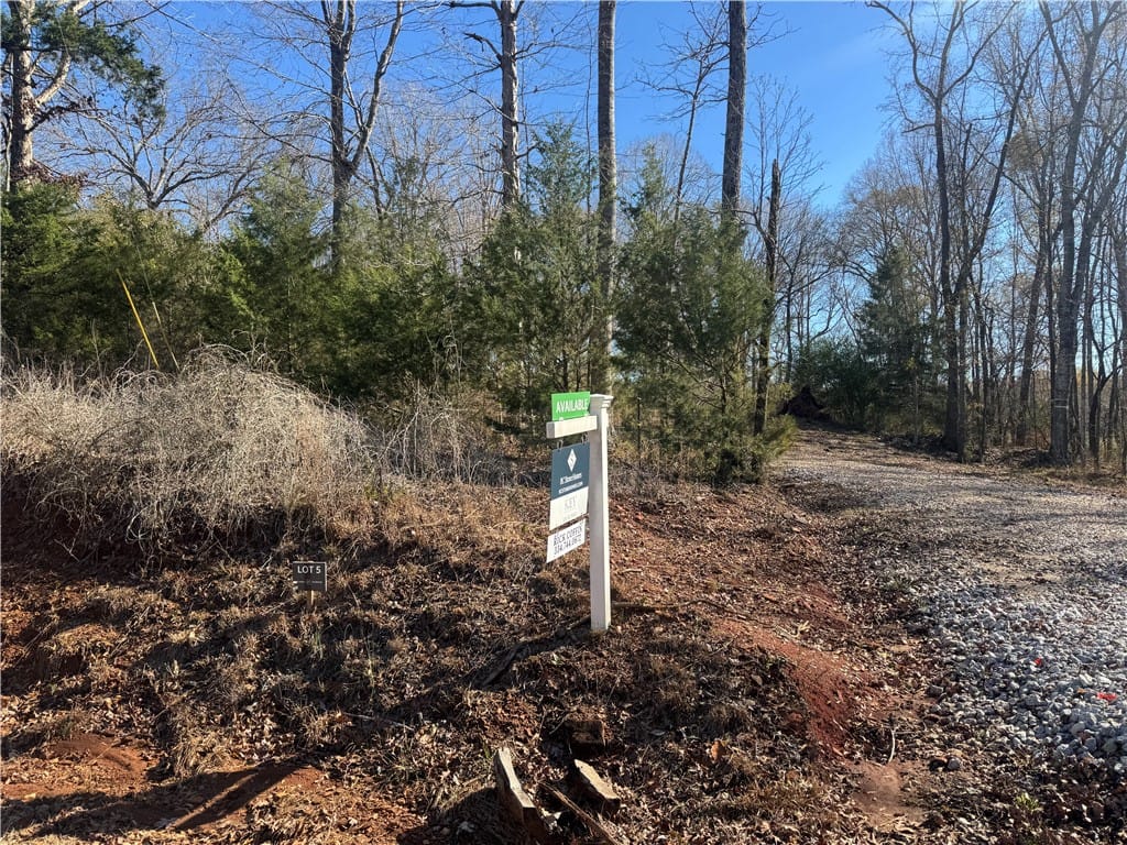 Lot 5 LEE ROAD 188, Waverly, AL, 36879 — Photo 3