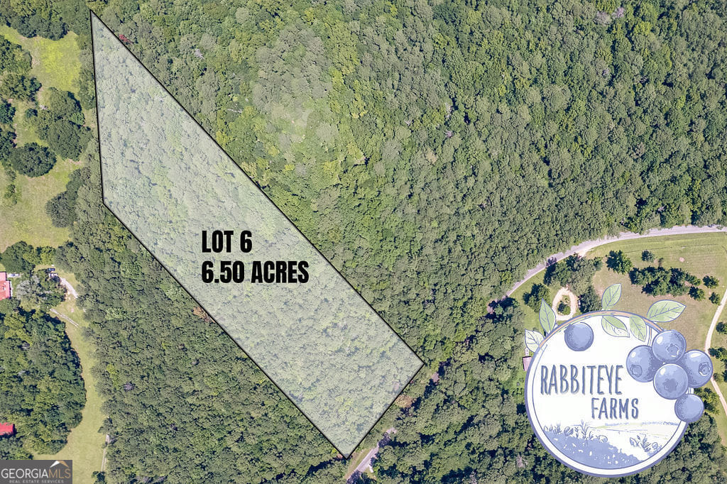 6 Haynes Rd, Moreland, GA 30259