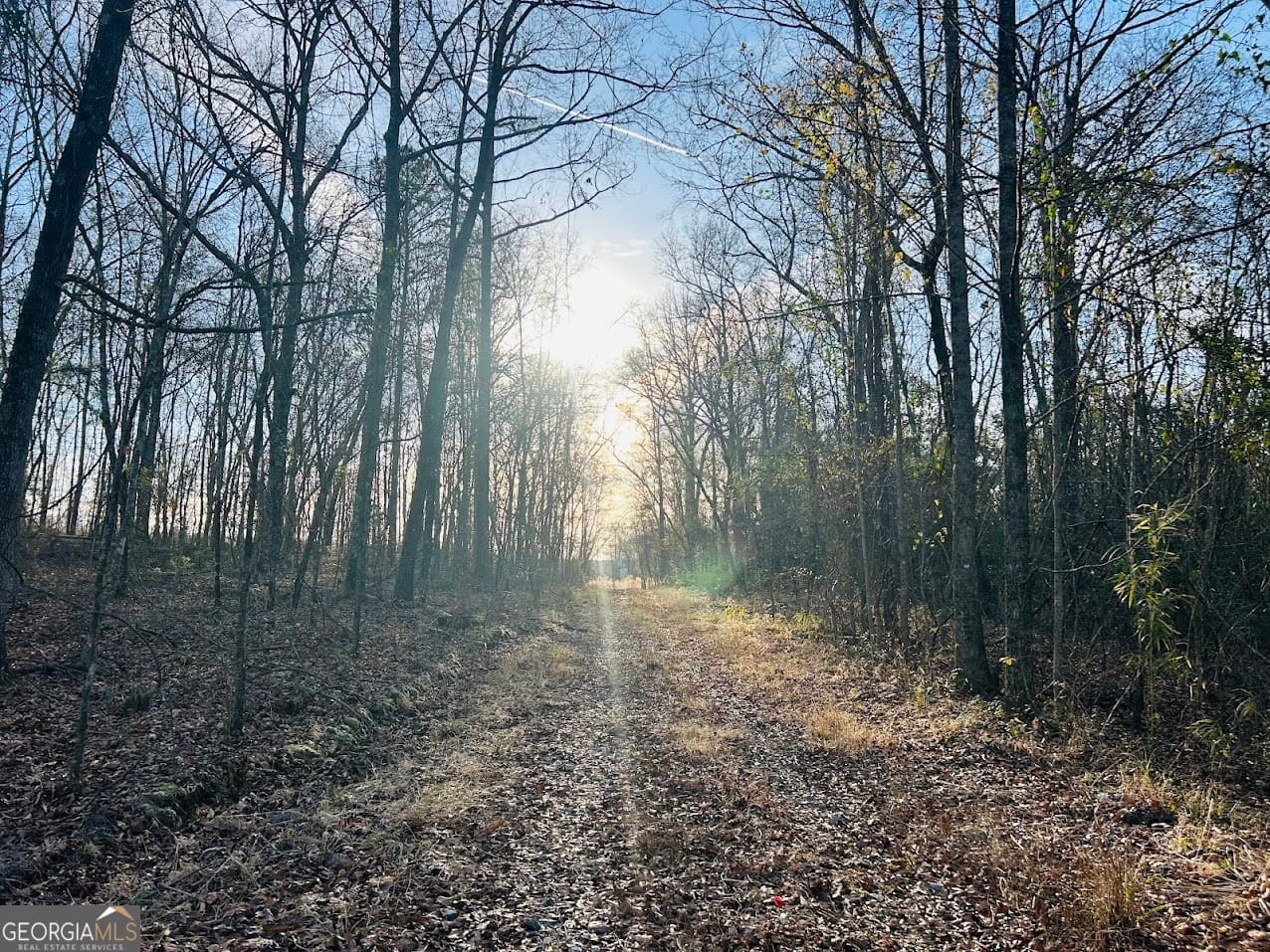 Bickley Rd, Butler, GA 31006