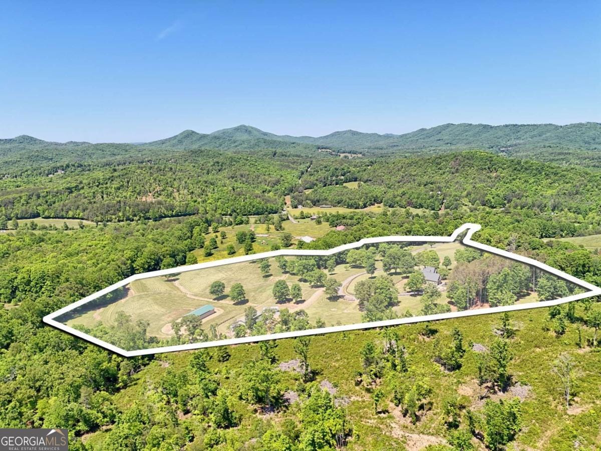 1193 Pine Log Rd, Warne, NC 28909