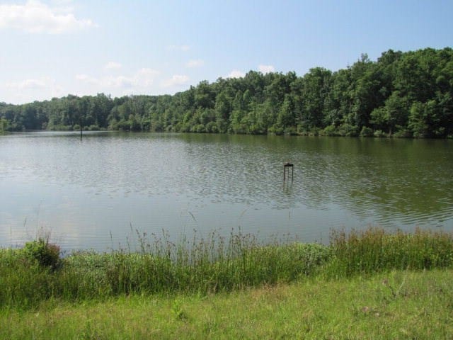 7715 Lynch Rd, Midland, GA 31820