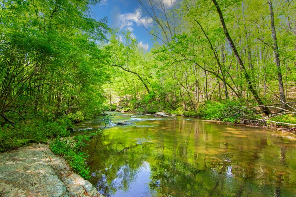 0 Highway 0036, Woodland, GA, 31836 — Photo 3