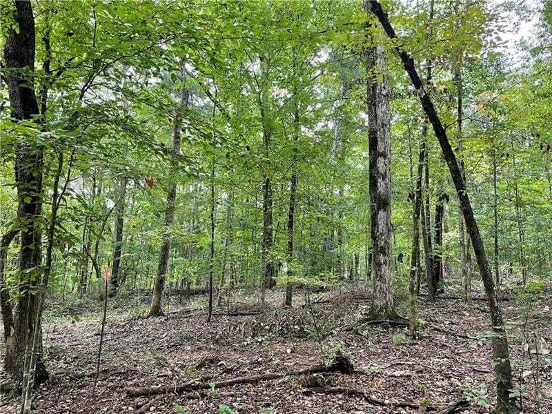 0 Lee Rd 462, Valley, AL, 36854