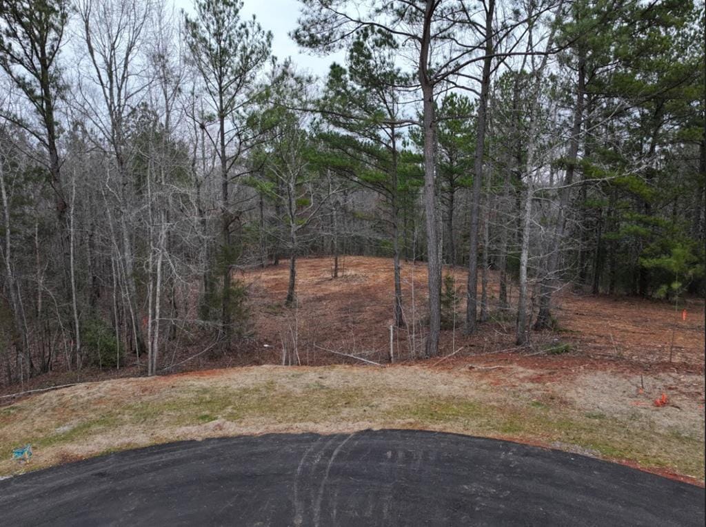 Lot 16 Young Lane, Hamilton, GA, 31811