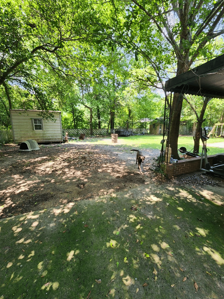 1435 Alta Vista Dr, Columbus, GA 31907
