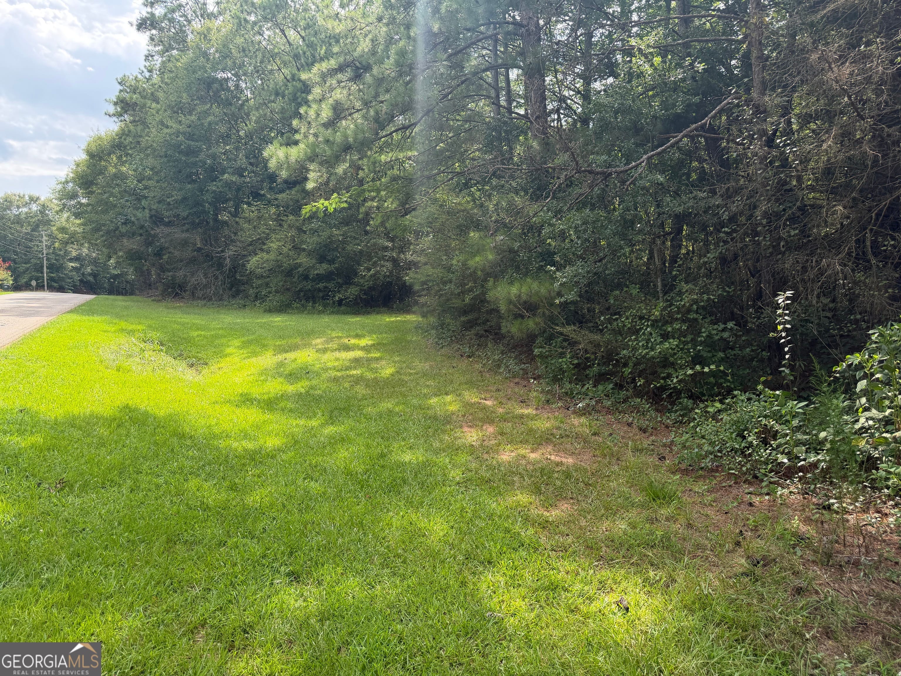 0 County Road 82, Newell, AL, 36280