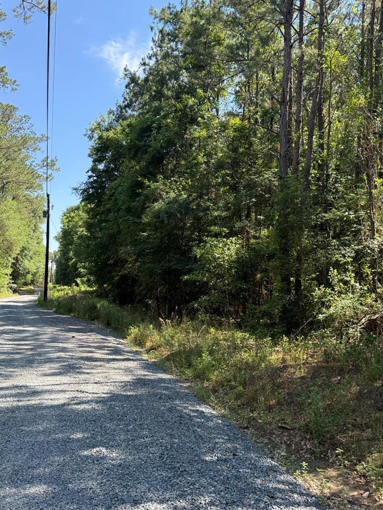 000 Appian Way, Baconton, GA, 31716