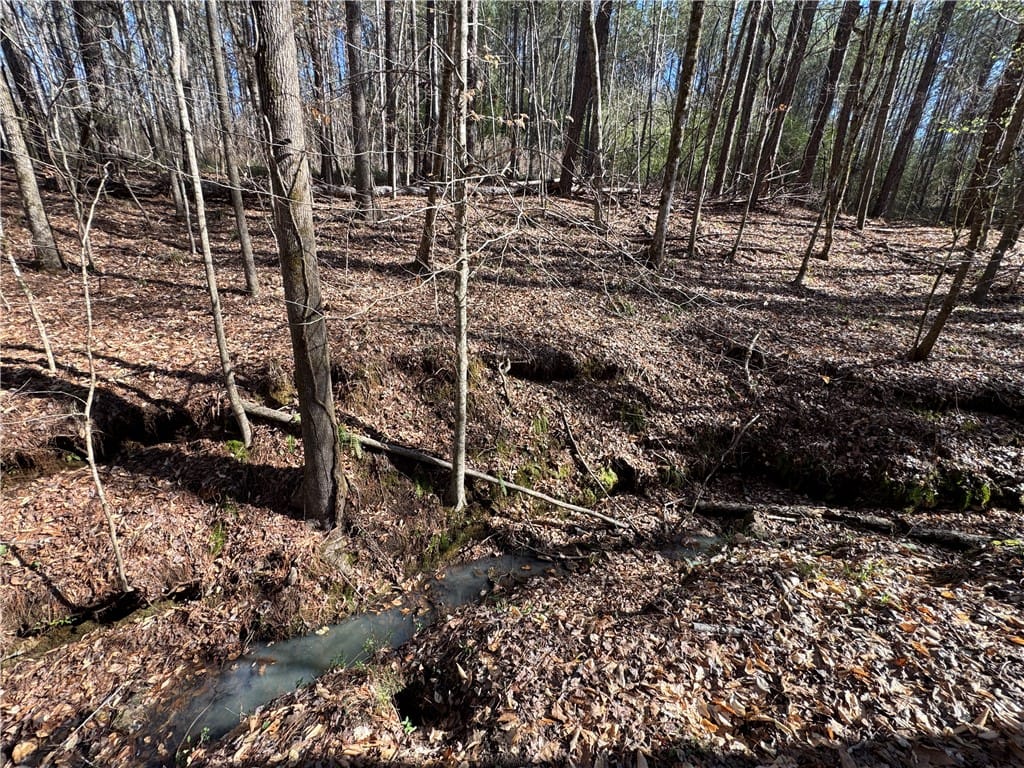 0 AL HIGHWAY 49, Tallassee, AL, 36087