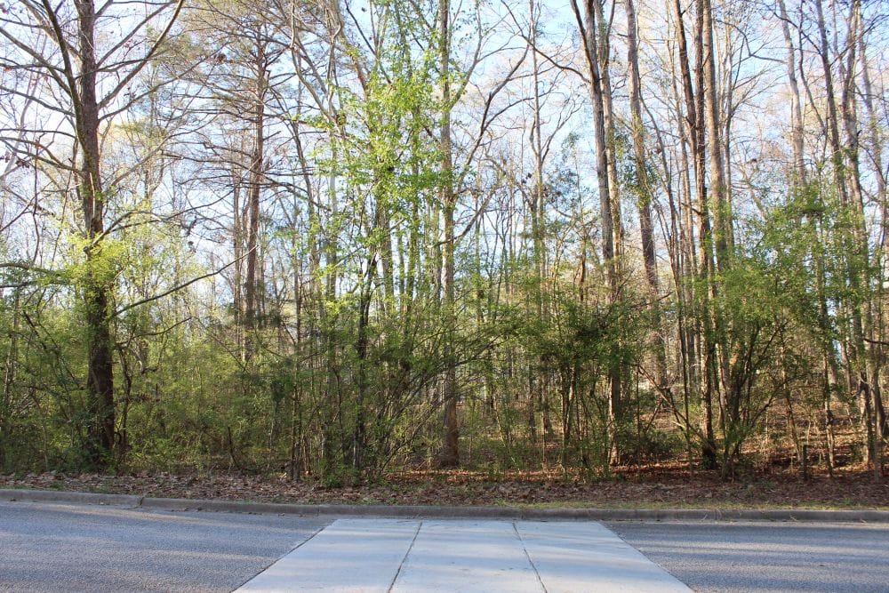 0 SUMMERTREES, Auburn, AL, 36832