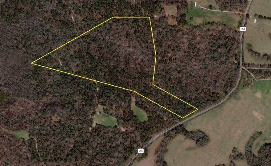 Lot 4 Macon County Road 24, Auburn, AL, 36830