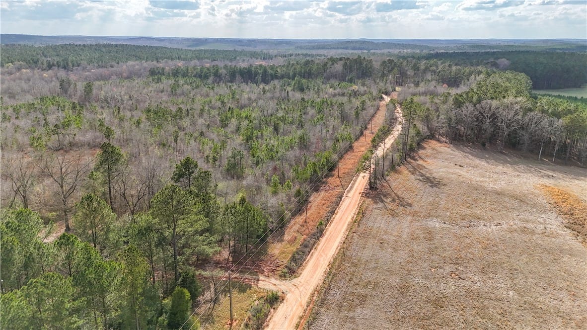 0 COUNTY ROAD 65, Lafayette, AL, 36862 — Photo 2