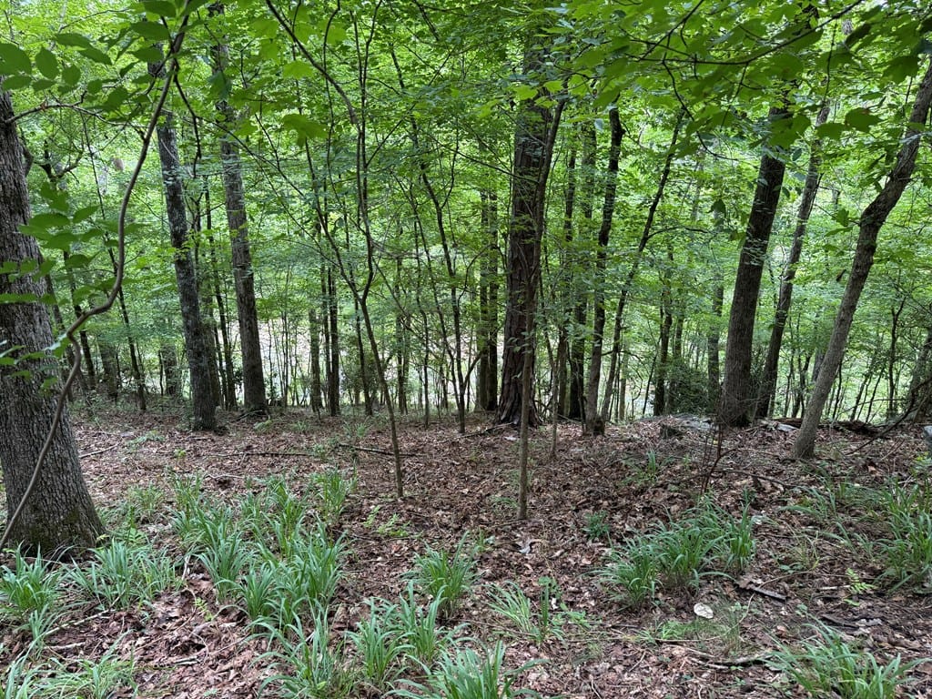 555 Mountain Brook Rd, Fortson, GA 31808