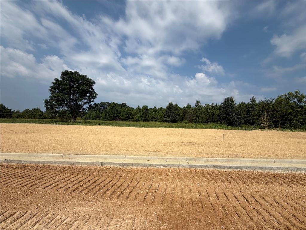 Lot 20 Homestead, Smiths Station, AL, 36877