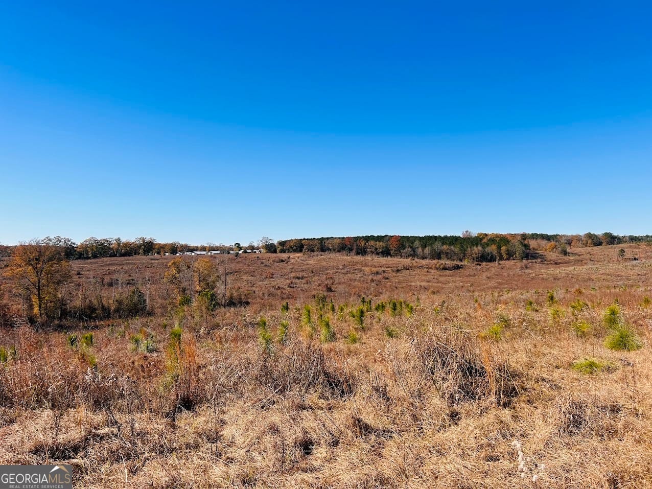 0 Jaye Rd, Ellaville, GA 31806