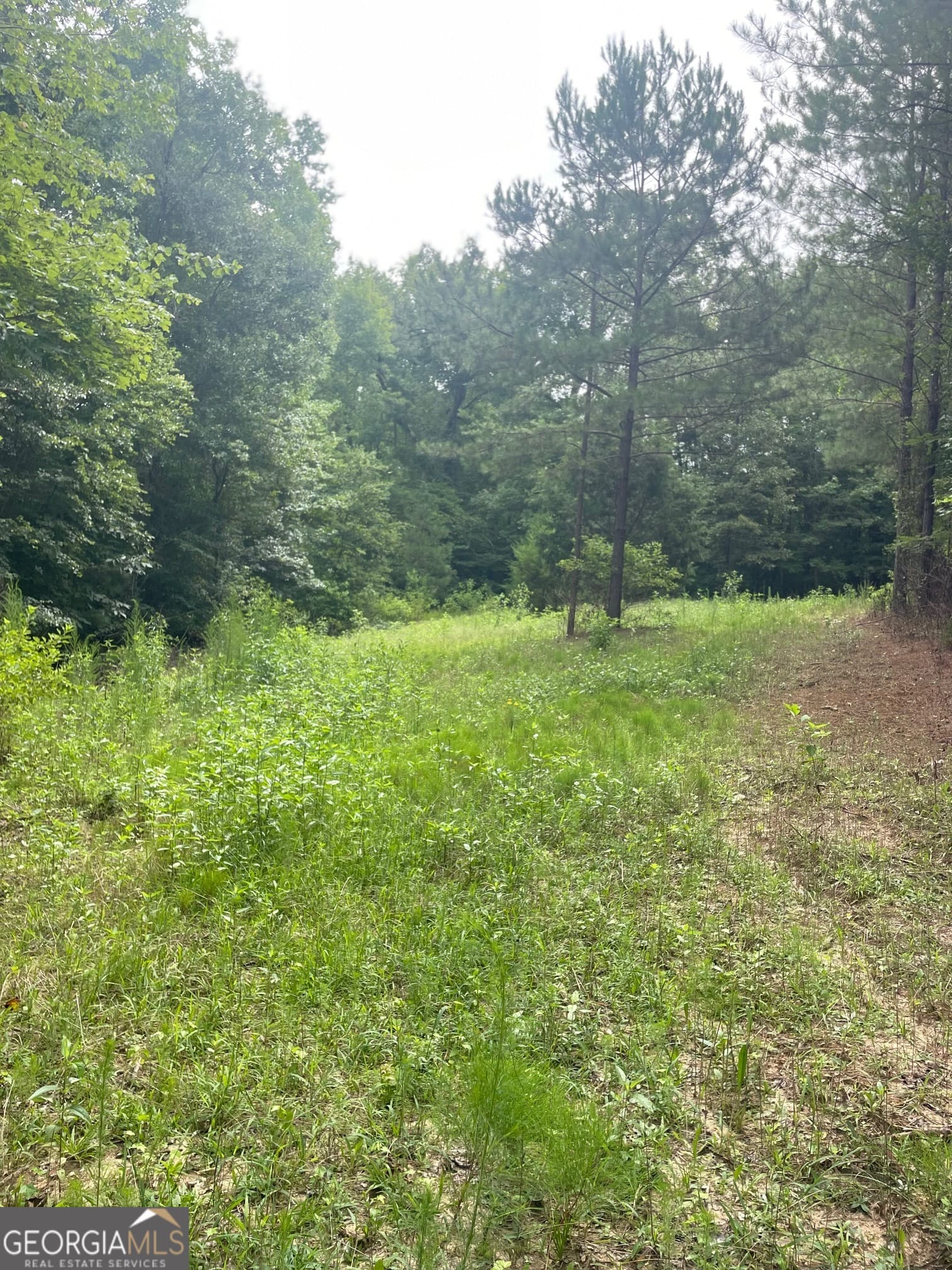 0 GRAHAM ROAD Graham, Hogansville, GA, 30230