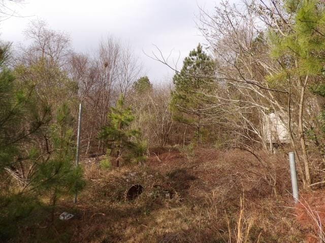 0 22nd Ave, Phenix City, AL, 36867 — Photo 3