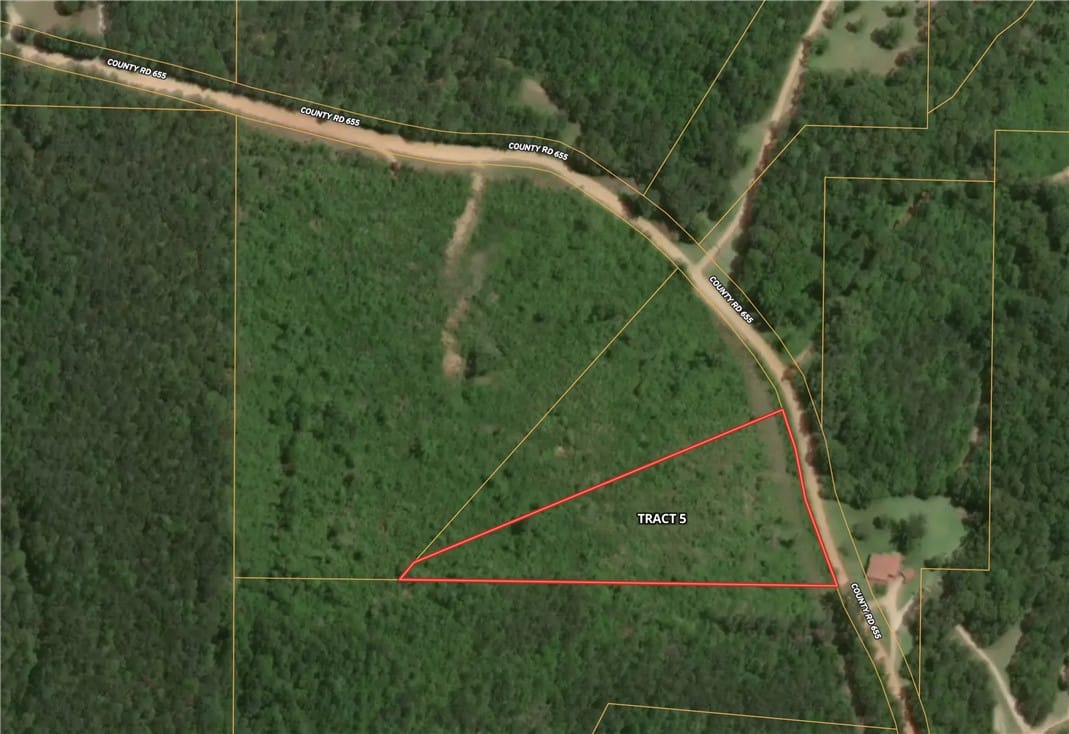 0 County Road 655, Roanoke, AL, 36274