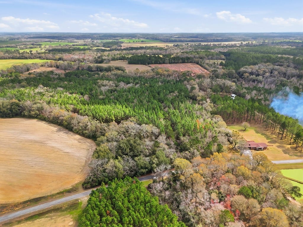 0 Greene Road, Pelham, GA, 31779 — Photo 2