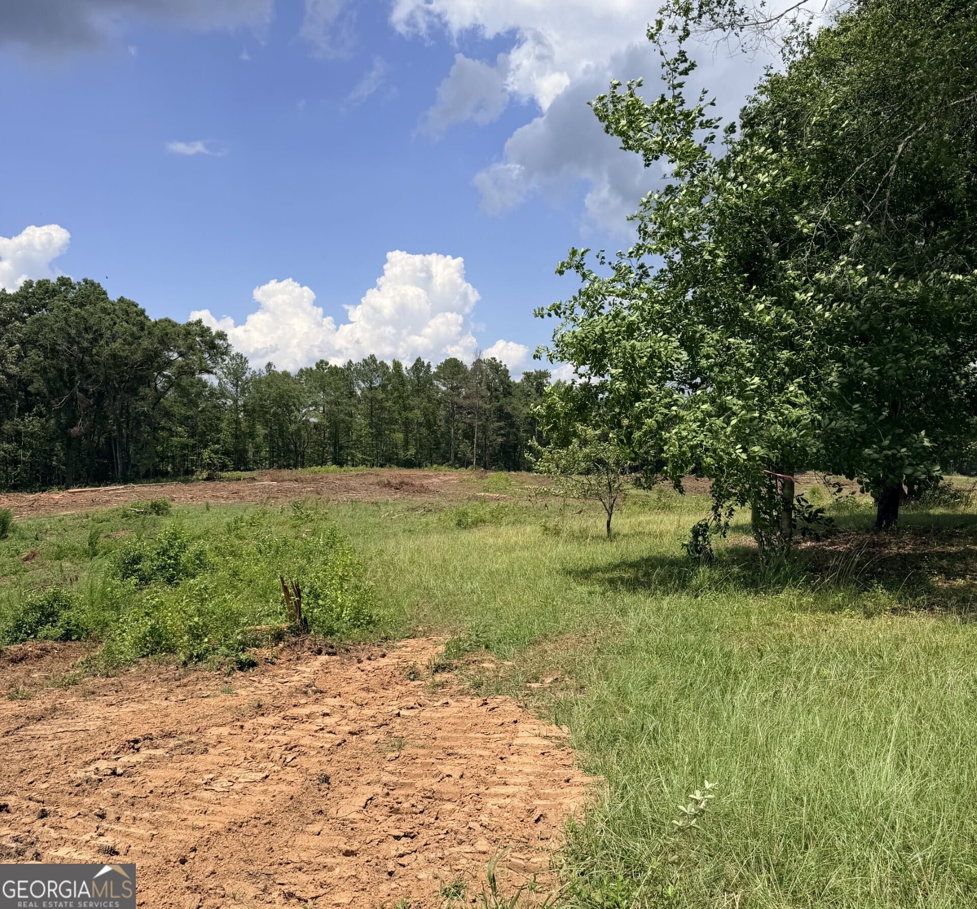 2135 Moss Rd, Gay, GA 30218