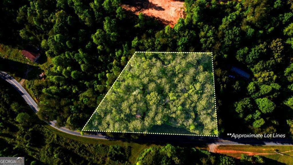 3 West Gum Log Road, Warne, NC, 28909
