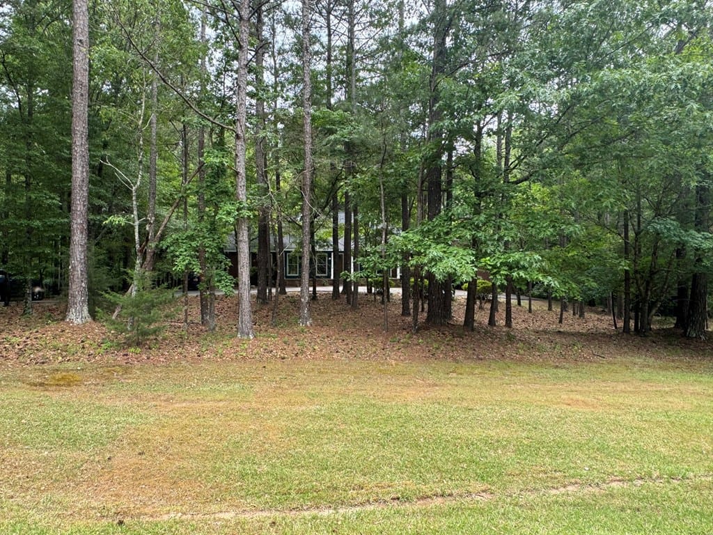 906 Kennon Drive, Cataula, GA, 31804 — Photo 2