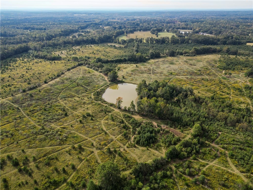 0 Pierce Rd, Waverly Hall, GA 31831, An aerial perspective showcases a tranquil private