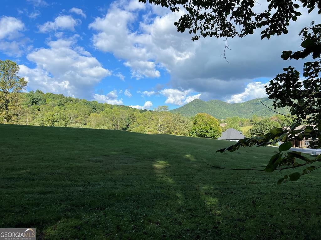 1 Foxfire Drive, Hayesville, NC, 28904