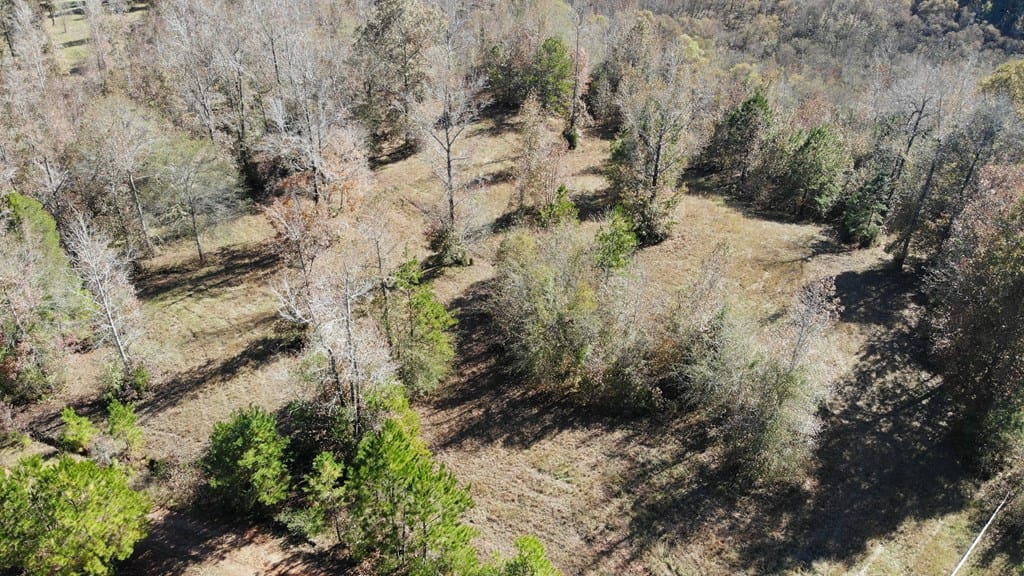 Parcel 3 Boyd Branch, Upatoi, GA, 31829
