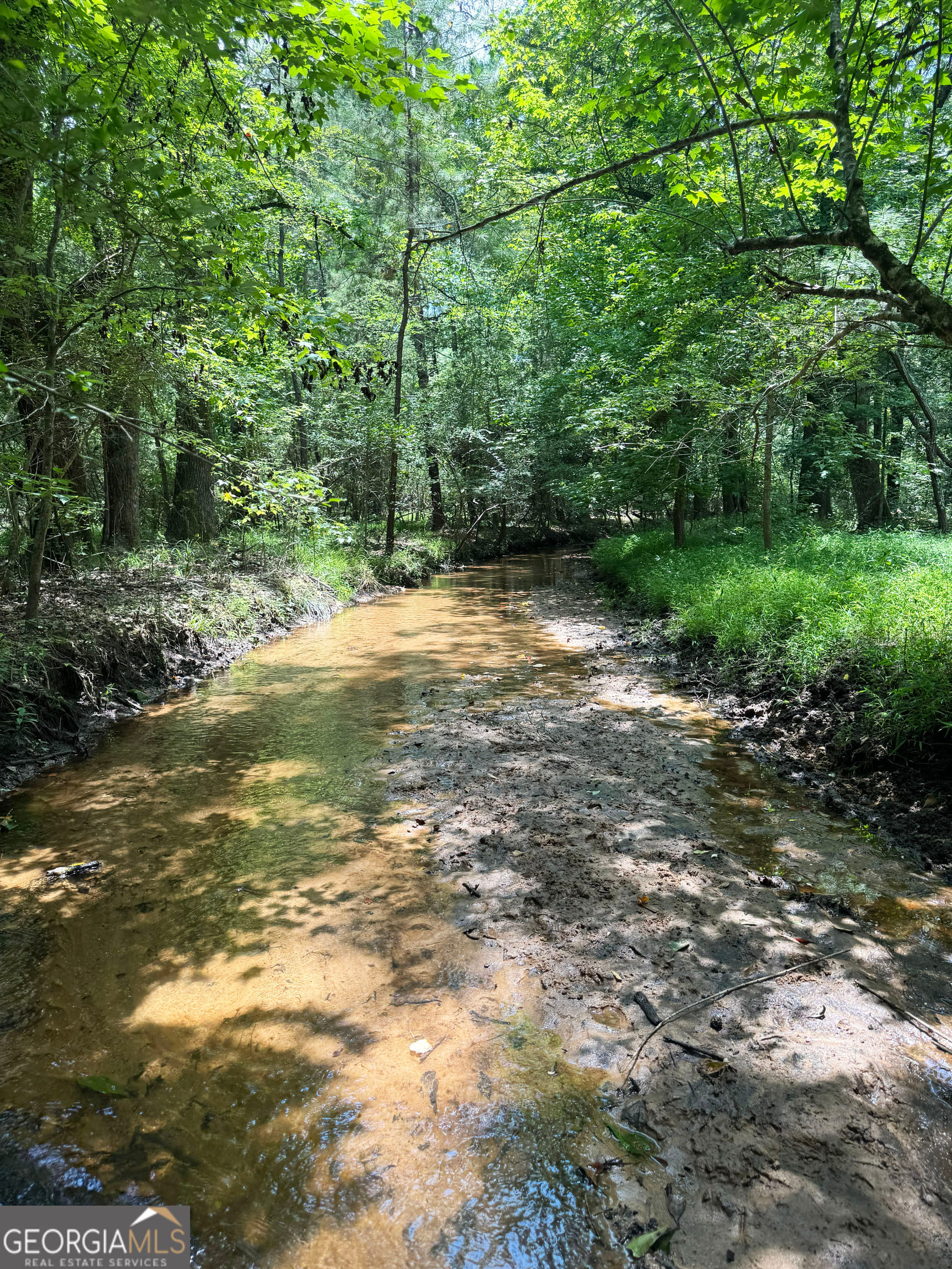 0 Wooten, Cuthbert, GA, 39840