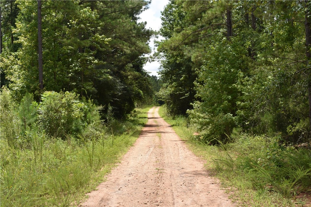 94 COUNTY ROAD 94, Lafayette, AL, 36862